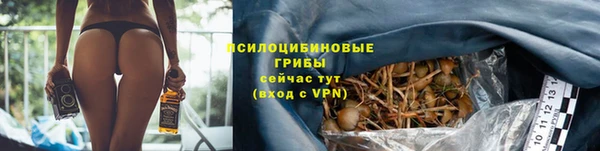 соль ск Алексин