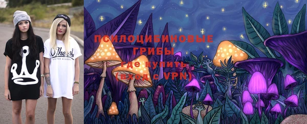 бошки Алексеевка