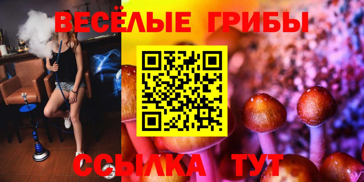 продажа наркотиков  Вход с VPN  Тавда  Псилоцибиновые грибы Psilocybe 